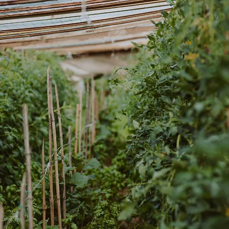 Farm stay Pratello
