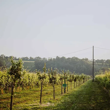 Pratello Farm stay